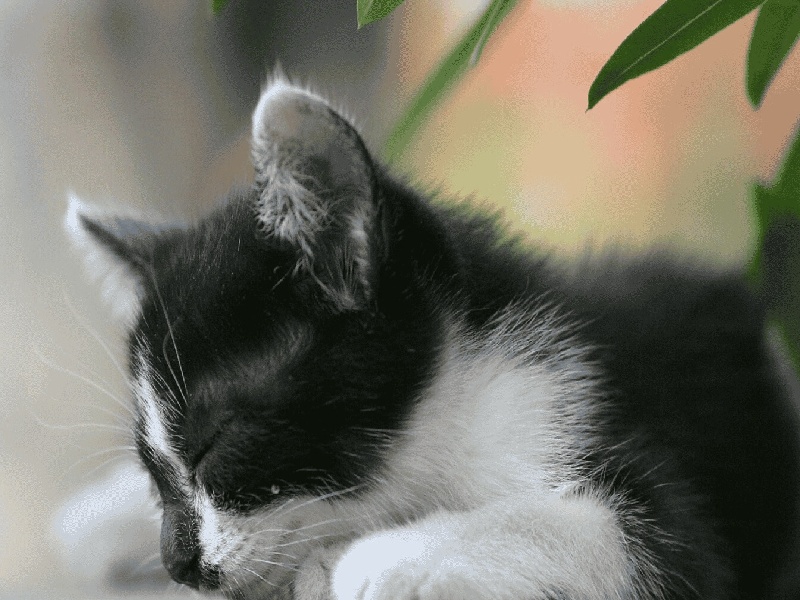 陈女士成功案例